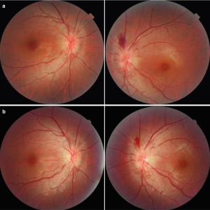 514447_1_En_8_Fig1_HTML 514447_1_En_8_Fig1_HTML