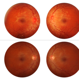 stresses-03-00028-g001 stresses-03-00028-g001